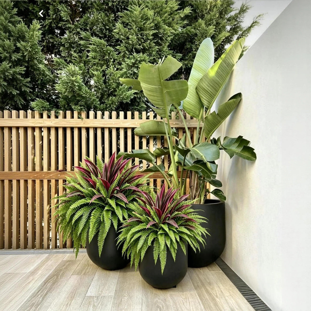 UV-Resistant Artificial Fern & Red Dracaena Decorative Plants - Full, Lush & Fade-Resistant!