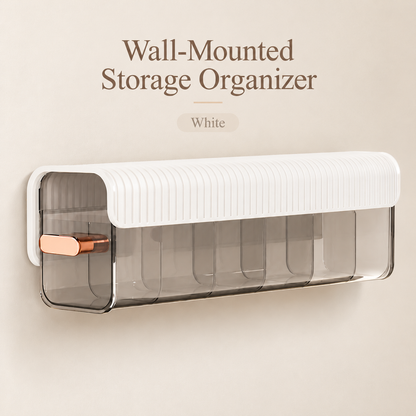 Wall-Mounted Underwear Organizer