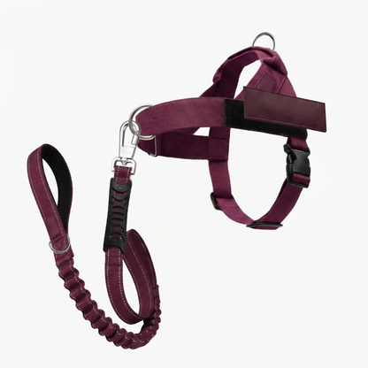 No-Pull Dog Harness & Leash Set – Breathable Adjustable Harness with 120 cm Leash