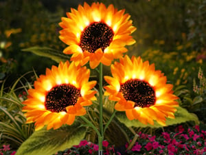 🔥🌻Last Day Sale 50% OFF🌞Solar LED Sunflower Garden Lights-29.6inch/74cm