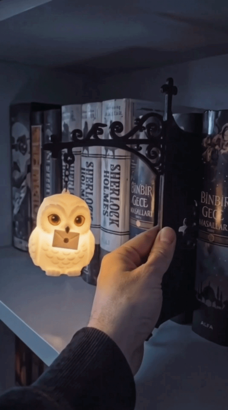 🔥Last Day Sale 50% OFF🔥Magical Bookshelf Figurine Night Light — Owl Stag Phoenix