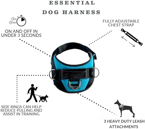 ShawnCo Essential Dog Harness, No-Pull Pet Vest with 3 Leash Clips, No Choke, Reflective, Adjustable and Padded, for Easy Walking and Training for Small, Medium and Large Dogs (Orchid, L)