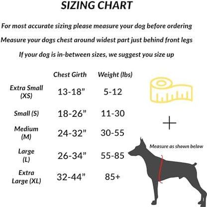 ShawnCo Essential Dog Harness, No-Pull Pet Vest with 3 Leash Clips, No Choke, Reflective, Adjustable and Padded, for Easy Walking and Training for Small, Medium and Large Dogs (Orchid, L)