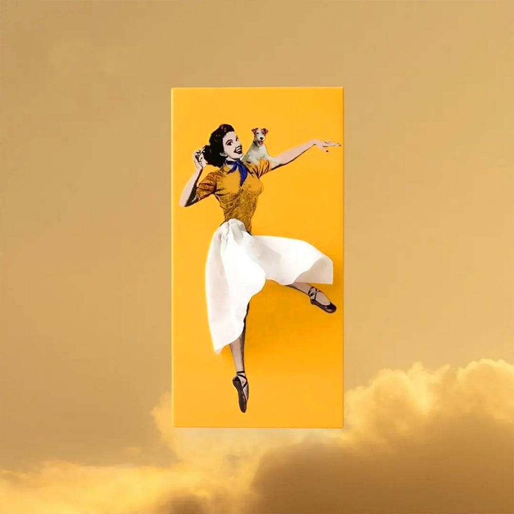 🔥🎁Flying Skirt Tissue Box