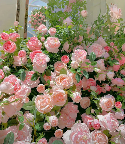 🌈 Premium Climbing Roses Bulbs 🌹 Fast Growing, Easy Care & Highly Fragrant ✨ Perfect for Any Garden