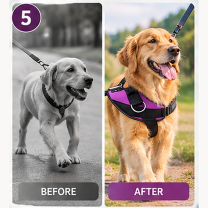 🐕 Limited time 50% off – Essential no-pull dog harness