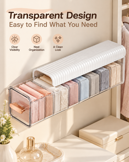 Wall-Mounted Underwear Organizer