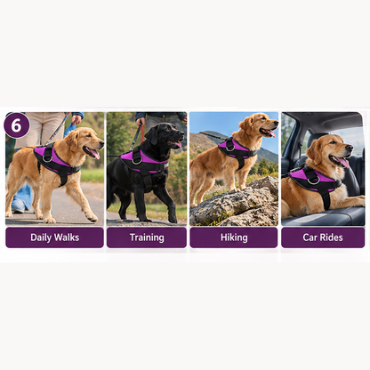 🐕 Limited time 50% off – Essential no-pull dog harness