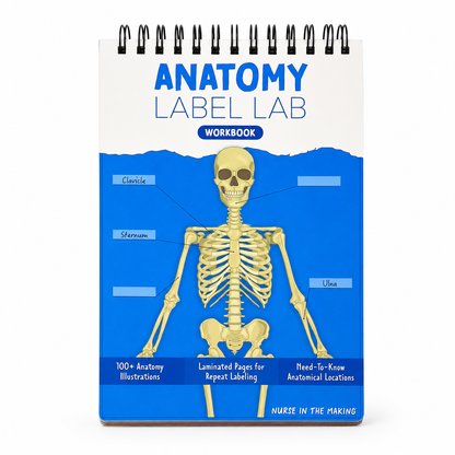 Anatomy Label Lab Workbook – Reusable Anatomy Study Guide