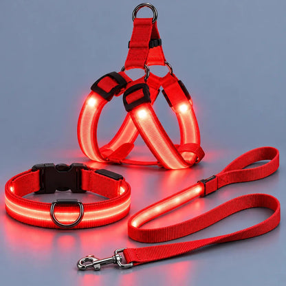 LED Light-Up Dog Harness and Leash Set