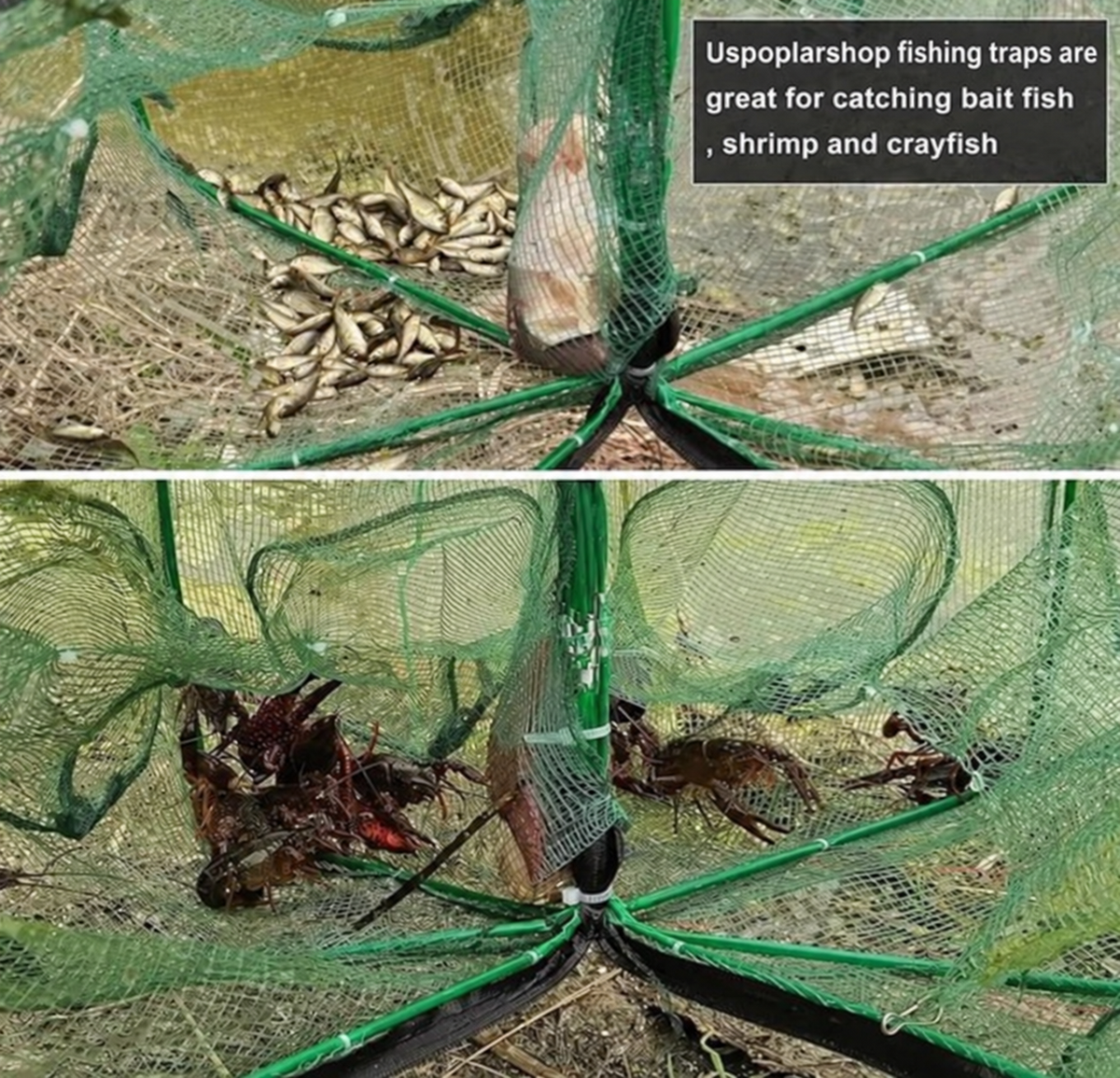🔥Hot Sale 50% OFF🔥-Auto-Foldable Strengthened Fishing Trap Net