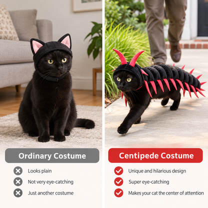 🐛 Limited-time 50% off — Funny centipede cat costume