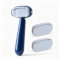 Blue + 2 Replacement Heads