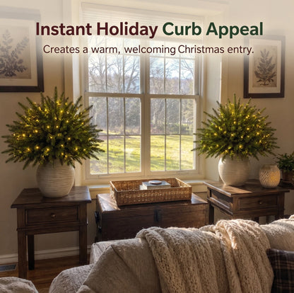 🔥HOT SALE -Christmas Enchanted Evergreen Pine