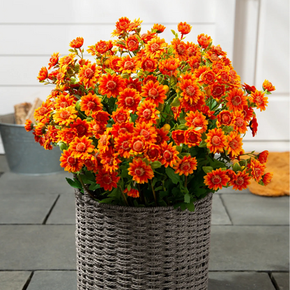 💥Last Day 70% OFF🌼- Artificial Outdoor Sunset Mums Flowers - UV resistant, Waterproof, Windproof