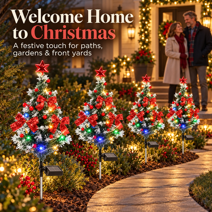 Christmas trees in a front garden