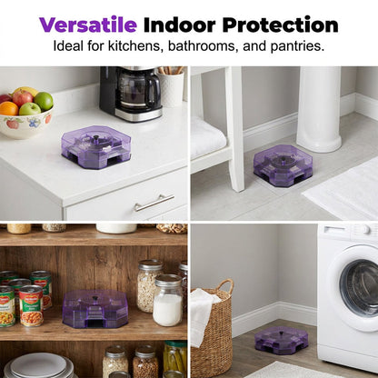 🥳2026 HOT SALE🥳💞50K+ SOLD!♻️🪳49% OFF! Reusable Roach Trap – Physical capture, no toxic sprays. One‑way doors, easy to check & clean. Safe for homes with kids & pets! 🏠✨