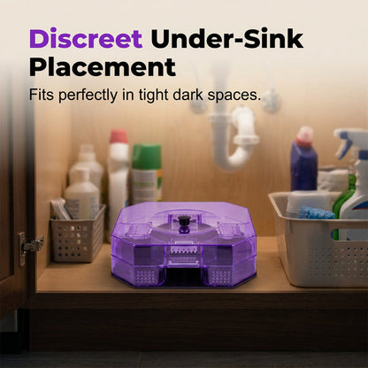🥳2026 HOT SALE🥳💞50K+ SOLD!♻️🪳49% OFF! Reusable Roach Trap – Physical capture, no toxic sprays. One‑way doors, easy to check & clean. Safe for homes with kids & pets! 🏠✨