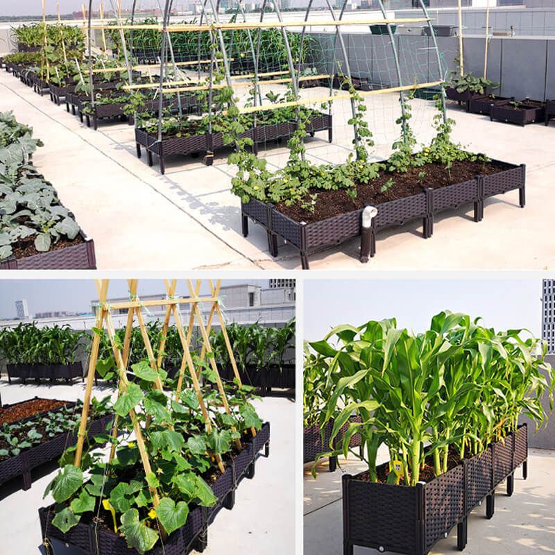 🌱 DIY Raised Garden Bed Planter – Build Your Perfect Growing Space💧