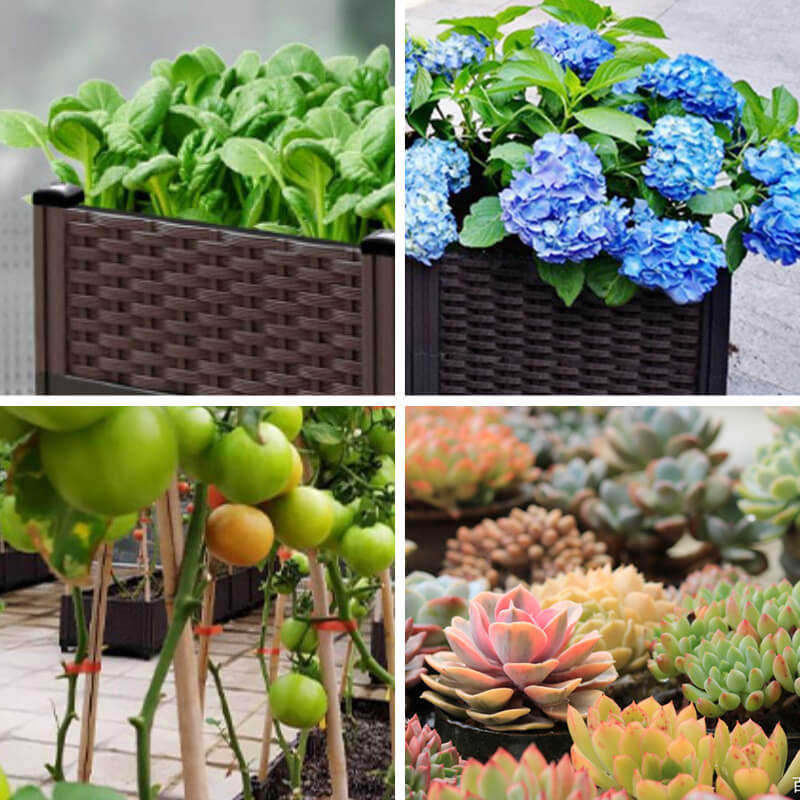 🌱 DIY Raised Garden Bed Planter – Build Your Perfect Growing Space💧